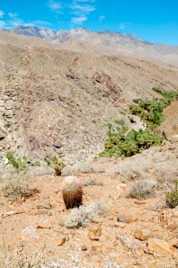 View to Palm Canyon from Victor Trail—C.Helbig